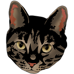 A cool tan tabby cat with yellow eyes.