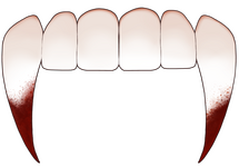 The front set of teeth with the canines as bloody fangs akin to a vampire.